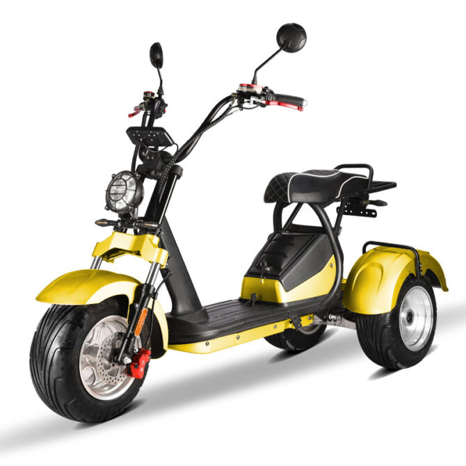 Citycoco 3 roues 4000w modèle HM-7