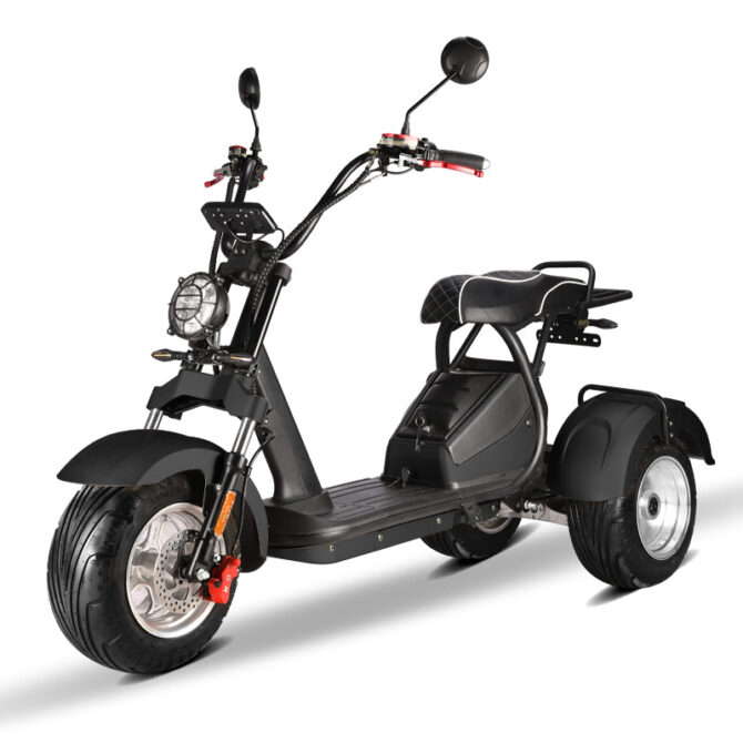 Citycoco 3 roues 4000w modèle HM-7