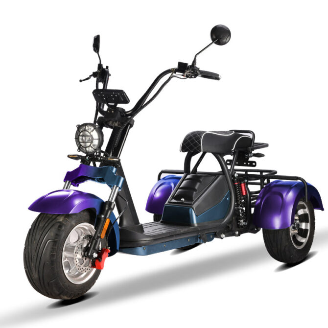 Citycoco 3 roues 2000w modèle HM-3